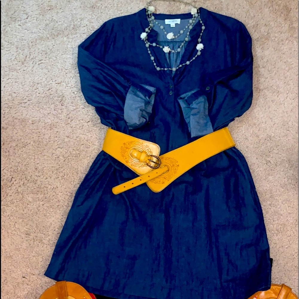 Umgee denim dress